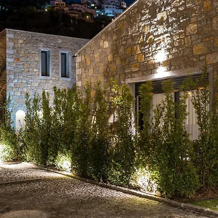 Mavillas Premium Torba 빌라